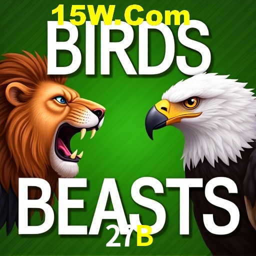 27B Brasília - VIP Program